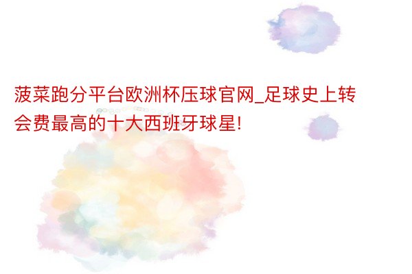 菠菜跑分平台欧洲杯压球官网_足球史上转会费最高的十大西班牙球星!